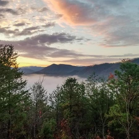 Lazy Bear Lodge Sevierville Eksteriør bilde